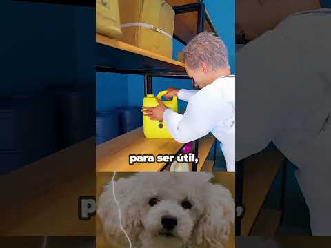 ¿Quién lo inventó? #sabiasque #shorts #curiosidades