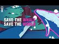 Understanding the Role of Whales in Combating Climate Change