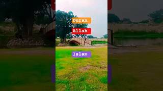 humne Mana ki Jannat mein hai sab kuchh lekin chhodkar jaenge nahin madina ko #allah #islamic#shorts