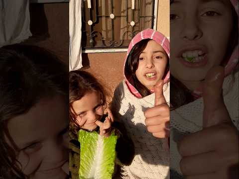 يم يم ما اطيب الخضار#shortvideo #shortvideo