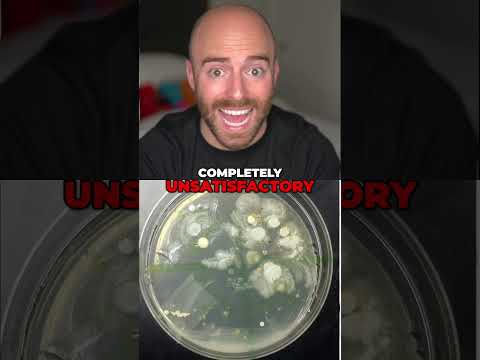 Your Kitchen Faucet: Germier Than Your Toilet