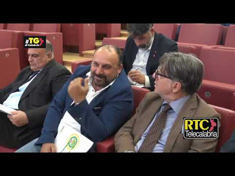 "Giovani e lavoro", convegno di Confprofessioni Calabria - RTC