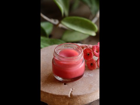 2 Ingredient Lip Balm With Natural Pink Color !