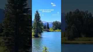 Cascade Ponds better than Lake Louise? #shorts #banff #banffnationalpark #canadavlogs #canadalife