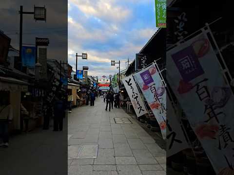 Taishakuten Sandō 帝釈天参道 #tokyo #japan