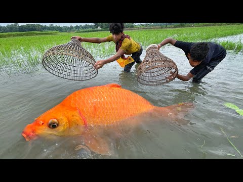 Amazing Fishing | Traditional Fishing Method By Bamboo Tools Polo Trap