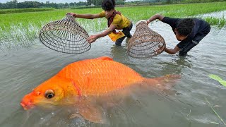 Amazing Fishing | Traditional Fishing Method By Bamboo Tools Polo Trap