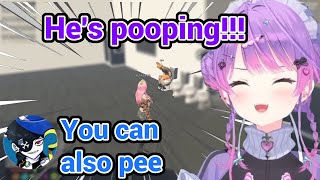 Towa's Reaction After Seeing Her Gang Member Use The Toilet Is So Funn