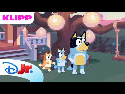 💙 Kongen befaler | Bluey | Disney Junior Norge