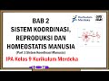 Kuis Sistem Koordinasi dan Indra Manusia