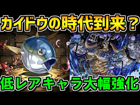 カイドウのサブが充実！10周年パワーアップで低レアキャラが多数強化決定！【パズドラ】