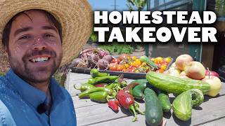 I Took Over Kevin's Homestead While He Was Gone...