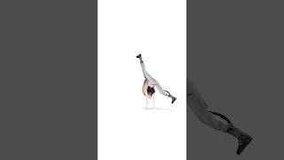 ニコたんが“かっこよく”側転できたら…