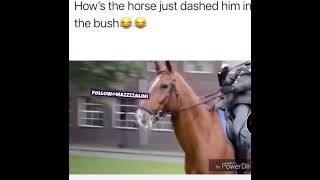 #bushlife #shorts #youtubeshorts