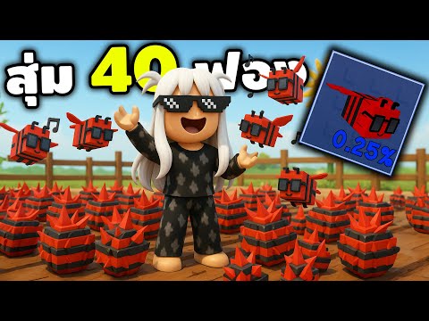 Roblox เปิดหาDisco Bee 0.25% 40ฟอง!! จะได้ไหม555+ (Grow a Garden)
