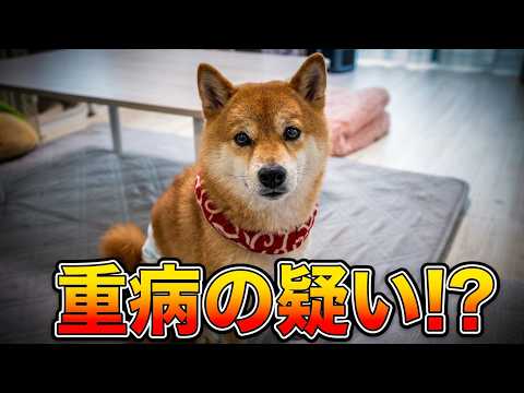 突然の血尿で病院へ。セカンドオピニオンで思いもよらない診断結果が出ました・・・