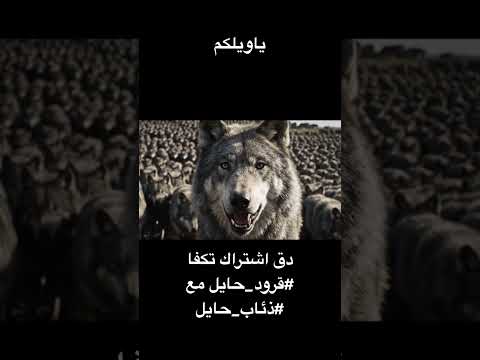 لاتنسون الاشتراك وياويلكم يابها حنا معكم ياقرود #قرود_الطائف 🤍😎