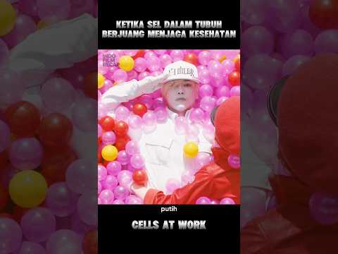 ketika sel dalam tubuh bekerja keras menjaga kesehatan 💪