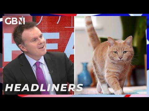 Government let students identify as cats because vets are cheaper than the NHS?! | Headliners