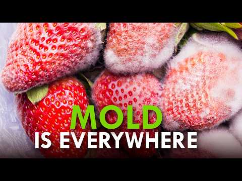 What Happens If You Eat Mold?