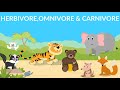 Animal Dietary Groups and Characteristics
