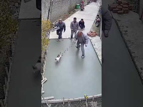 Is it artificial intelligence or real? #uybozor #music #diy #woodworking #technology