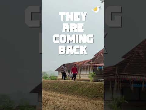 മുത്തശ്ശി... ഉണ്ണി എത്തിട്ടോ ❤️😌