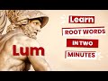Exploring the Lum Root: Vocabulary Related to Light