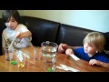Skittles Density Experiment Questions
