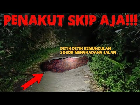 DETIK DETIK KEMUNCULAN SOSOK MISTERIUS MENGHADANG KITA DI TENGAH JALAN