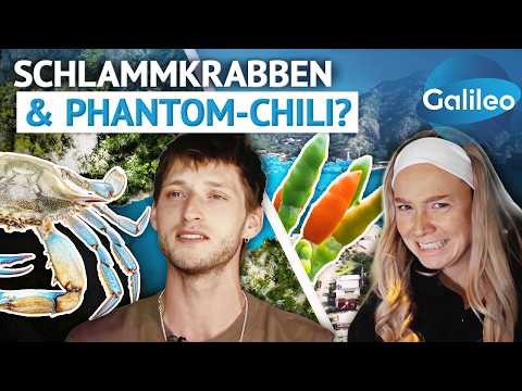 Dangerous Food: Phantom-Chilis und Knochenbrecher-Krabben