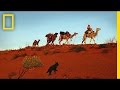 Robyn Davidson's Journey Insights