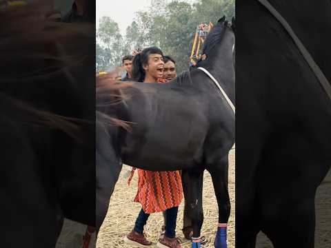 Tasmina means horse girl.
