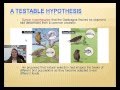 Evolutionary Biology Concepts Assessment