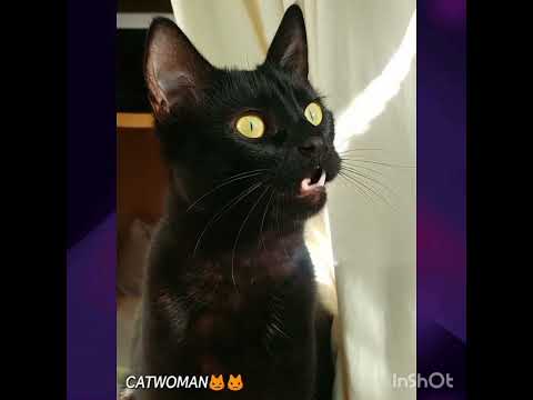 🕵🏻♀️🔎👀😂😹👻😊Mis fotos cobrando vida.