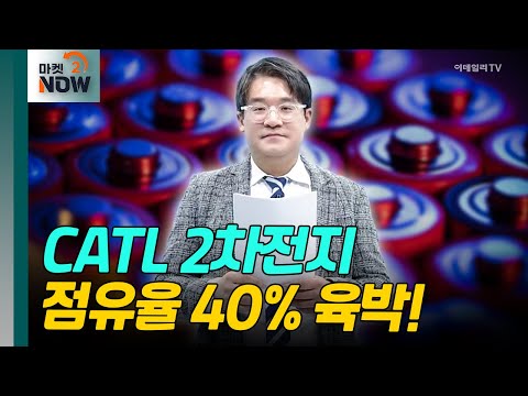 외국인 순매수 불발! CATL 2차전지 점유율 40% 육박! [매드토크] | Market Now 2 (20241213)