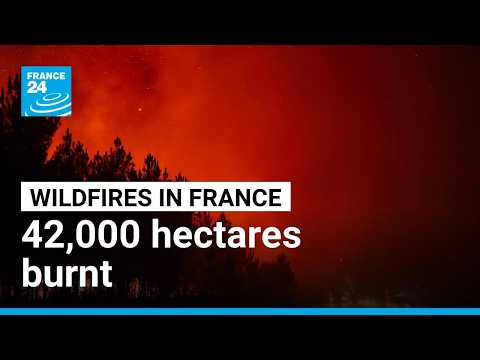 Fires in France: 42,000 hectares burnt, 220,000 people evacuated • FRANCE 24 English