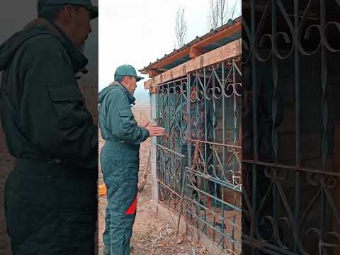 Безконтрольный Алабай.
