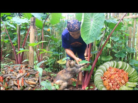 Lompong merah dengan jengkol rebus masak oseng dan pecak kecombrang tahu kuning masakan khas desa