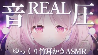 【ASMR/KU100】リアルで音圧高め♡ず〜っとゆっくり竹耳かき(時々中速,両耳同時アリ)┊耳ふぅ,囁き,極上音質,Ear Cleanin