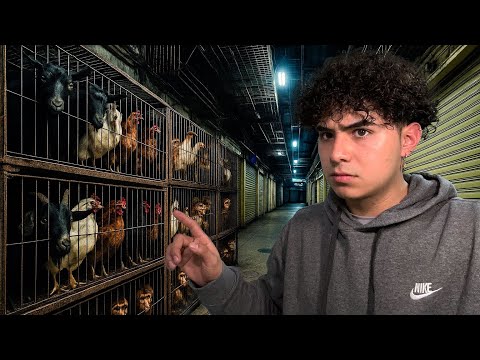 Nos INFILTRAMOS al MERCADO de SONORA de NOCHE