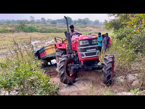 Mahindra tractor stuck in mud pulling out by another Mahindra tractor | tractor |