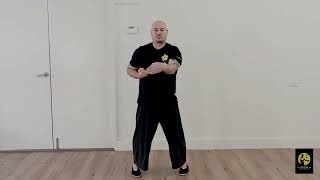 Siu Nim Tao (Wing Chun's First Form)