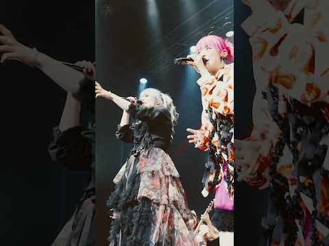 最新ライブ映像からスペシャルコラボをチラ見せ！Gacharic Spin×DOLL$BOXX #ライブ #バンド