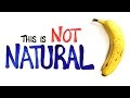 Understanding Chemicals in Food