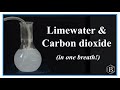 Testing for Carbon Dioxide with Lime Water