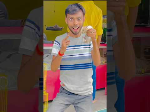 ওটাকে চুরি করে নিয়ে পালালাম 🤣 পাখির দোকানে কি নিয়ে পালালাম ❌ #youtube  #birds #funny #comedy
