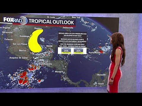 Tropical Weather Forecast: Monitoring area of possible development in Gulf