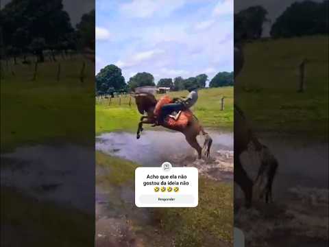 Acho que ela não gostou da ideia não 🤣🤣🤣🤣 #fazenda #pecuarista #gado #farm #boi #agro #vidanocampo