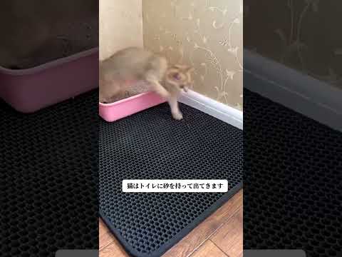 Giipet-🐱猫砂取りマット🐱 猫砂が散らかるのはもう終わり！双層設計で掃除が超簡単な猫砂マット #猫砂マット #猫の生活 #猫用品 🐾 #猫グッズ #猫好きさんと繋がりたい #ペット